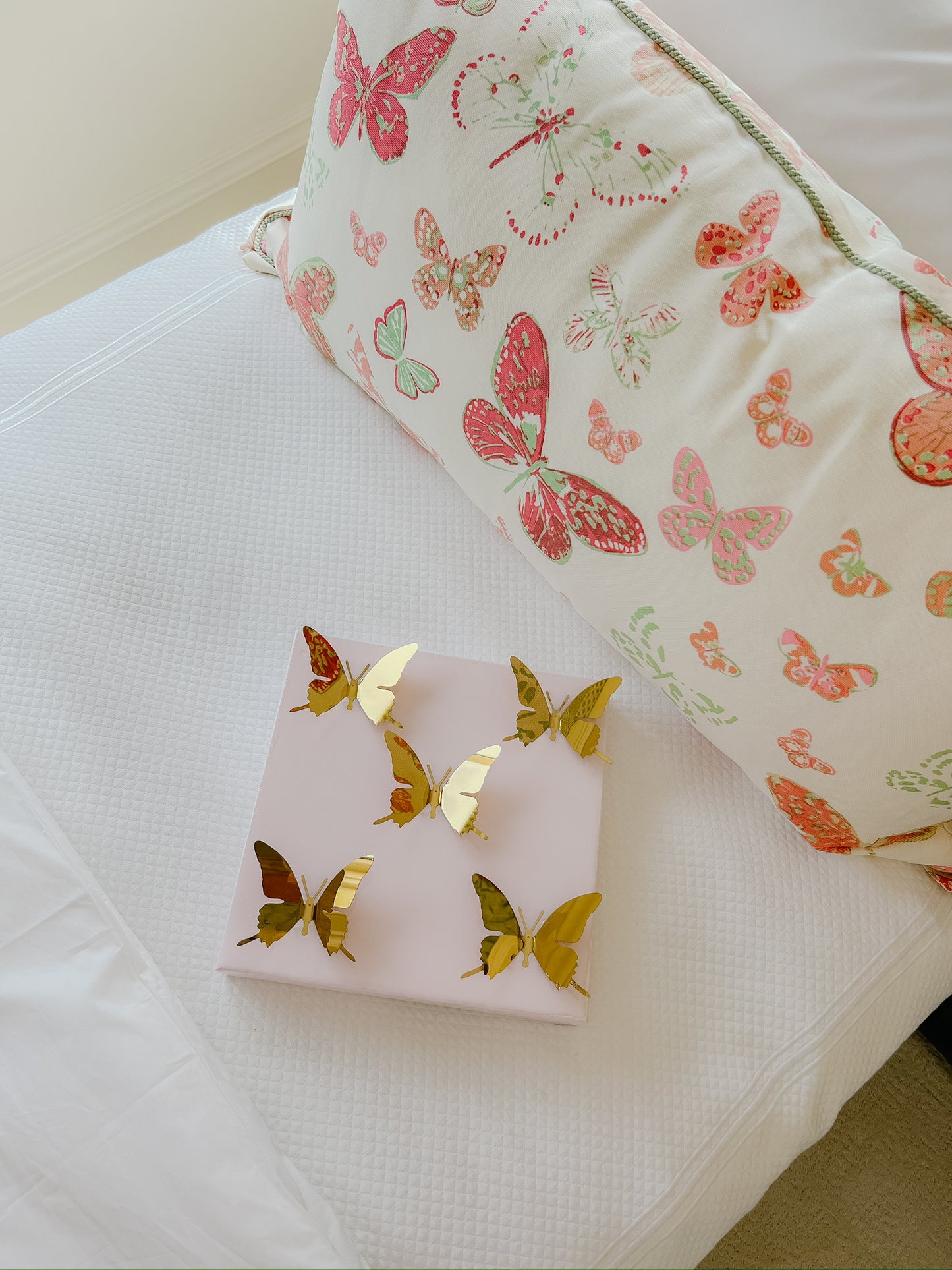 Light Pink Butterfly Canvas