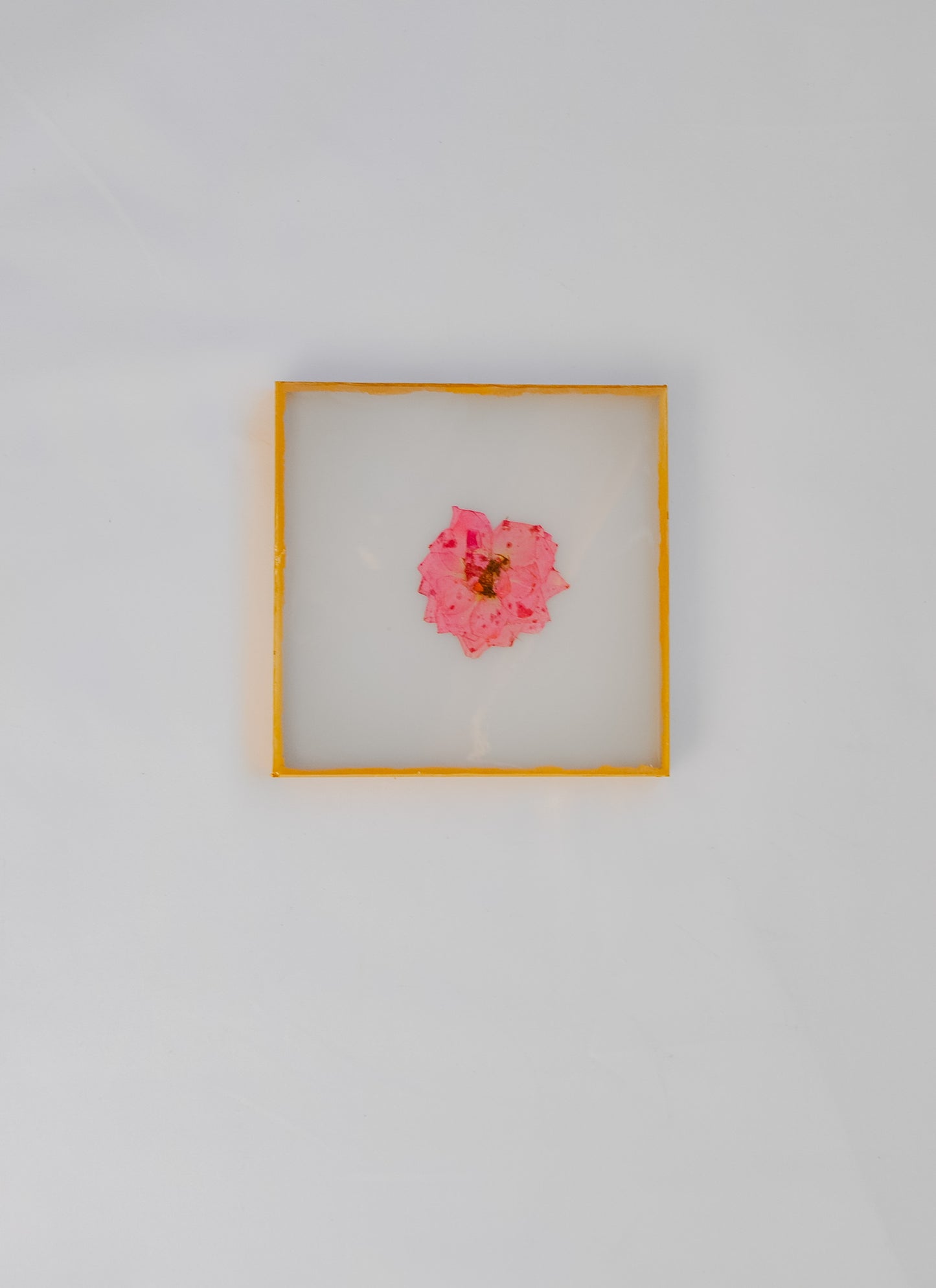 Pressed Rose Coasters - White Resin
