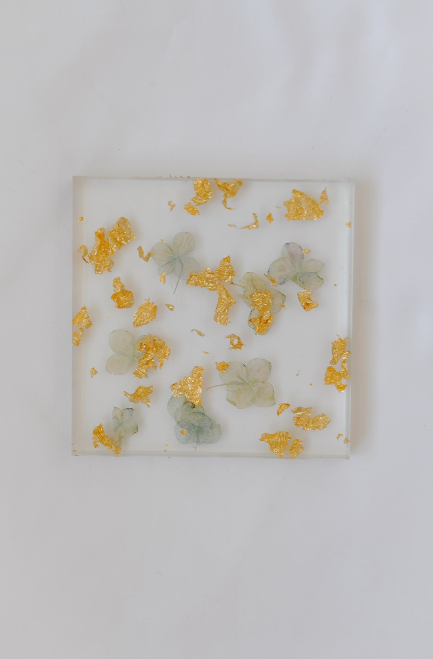 Pressed Hydrangea Coasters