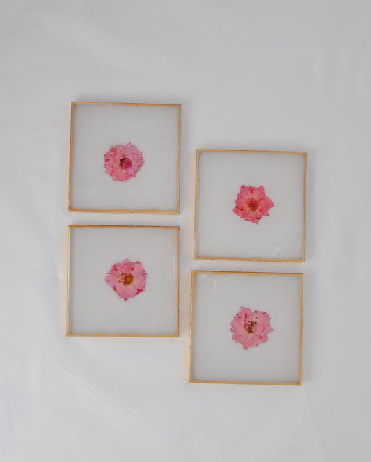 Pressed Rose Coasters - White Resin