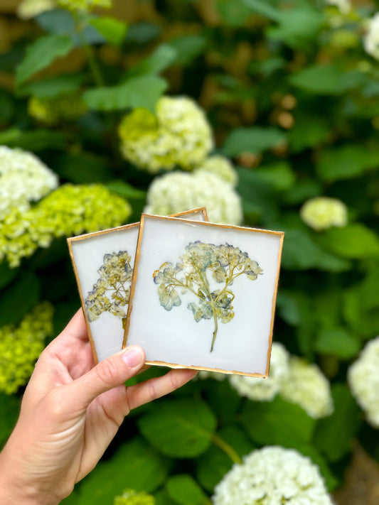 Square Coaster - Pressed Hydrangea