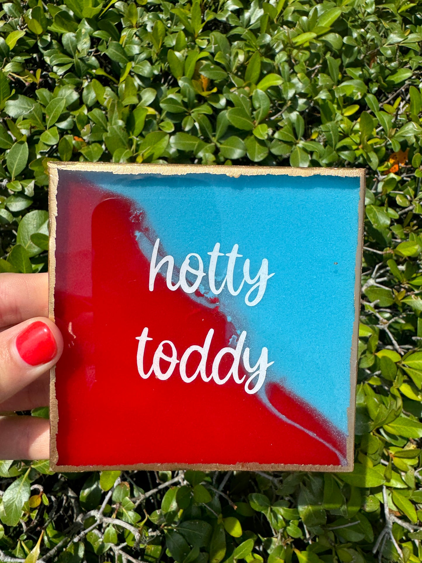 Ole Miss Game Day Coasters